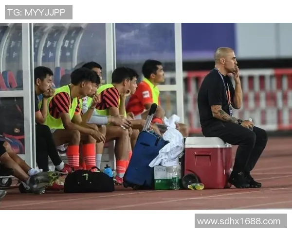 南京排球队战术之争引发热议球迷与专家各抒己见