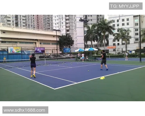 深圳网球队如何通过速度变革提升竞技水平与团队协作能力