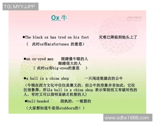 足球明星的英文翻译及其在国际舞台上的影响力分析