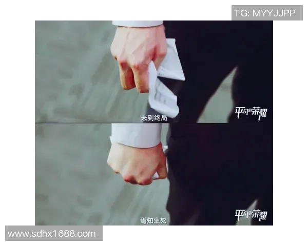 上海排球队的拼搏之路：世锦赛背后的奋斗与荣耀