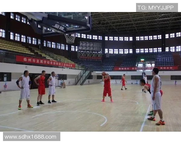 成都篮球队在邀请赛中的战术表现分析与点评展现团队协作与技术水平