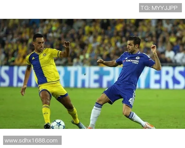 南京羽毛球队在城市联赛中的奋进之路与辉煌成就揭秘